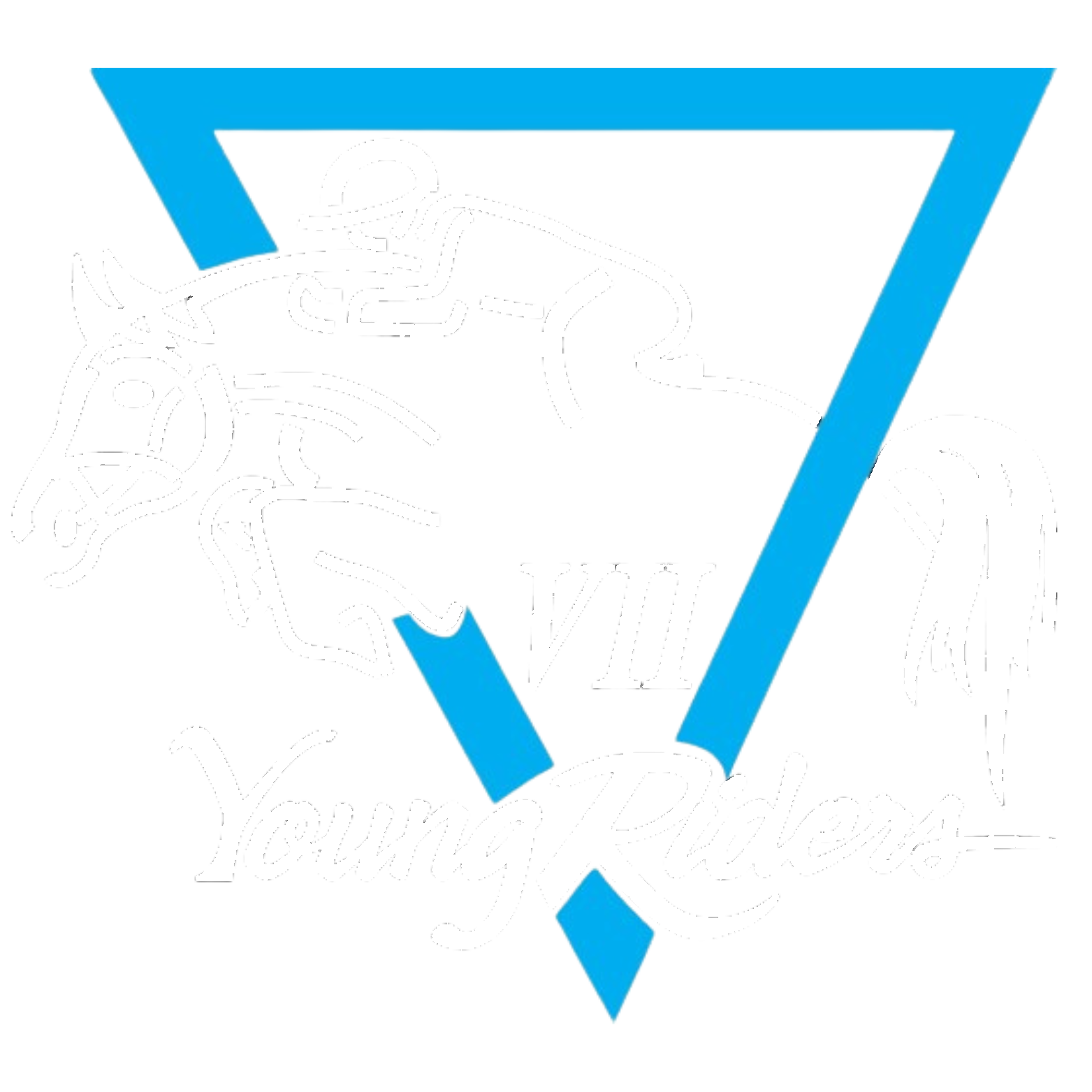 Area VII Young Rider Camp
